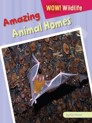 cover image of Amazing Animal Homes
